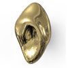 PVD POLISHED BRASS
