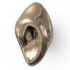 PVD POLISHED BRONZE