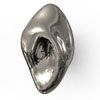 PVD POLISHED NICKEL